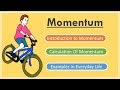 Understanding Momentum