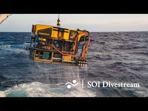 Stn. 4: Middle section of the Río de la Plata Submarine Canyon | SOI Divestream 831 Part II