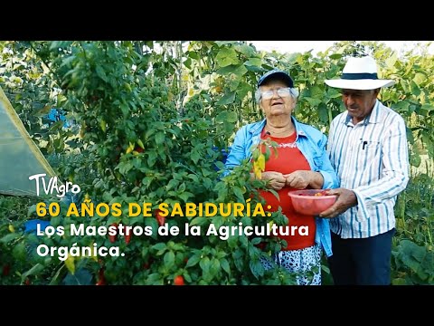 60 Años de Sabiduría: Los Maestros de la Agricultura Orgánica - TvAgro por Juan Gonzalo Angel