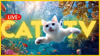 🔴 24/7 Calming Music for Cats | Separation Anxiety Relief Lullabies 🌈🐱