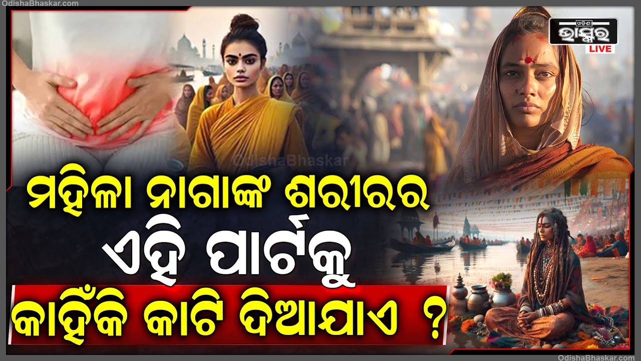 ଜାଣିଛନ୍ତି କି ମହିଳା ନାଗାଙ୍କର ଏହି ପାର୍ଟକୁ କାହିଁକି କାଟି ଦିଆଯାଏ, କାହିଁକି ଆଉ ଅଦ୍ଭୁତ ହୋଇଥାଏ ସେମାନଙ୍କ ଜୀବନ