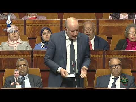 بناني/إبراهيمي :حول الإجراءات المتخدة لإنصاف الأساتذة الموقوفين عن العمل