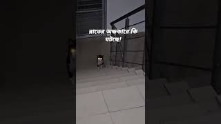 রাতের আধারে এসব কি ঘটছে? 😟