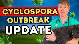 Cyclospora Outbreak: Are Dogs and Cats at Risk?