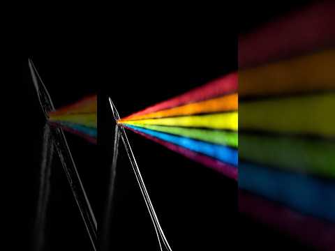 Indoor Macro Photography Ideas: The Dark Side of the Needle
