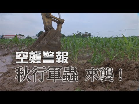 我們的島 空襲警報-秋行軍蟲 來襲！(第1009集 2019-06-17) - YouTube(13分33秒)