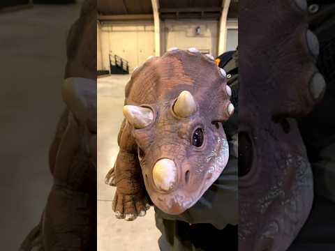 before and after animal transformation ""