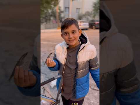 Alık alık bakma balık😅😳#mizah#funny #youtubeshorts