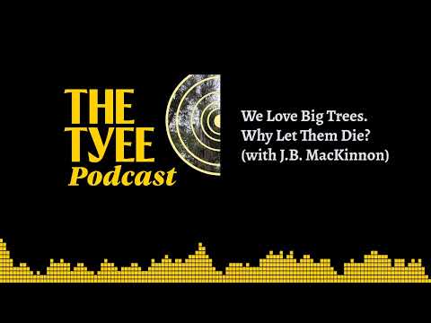 We Love Big Trees. Why Let Them Die? (with J.B. MacKinnon)