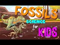 Fossils and Their Significance