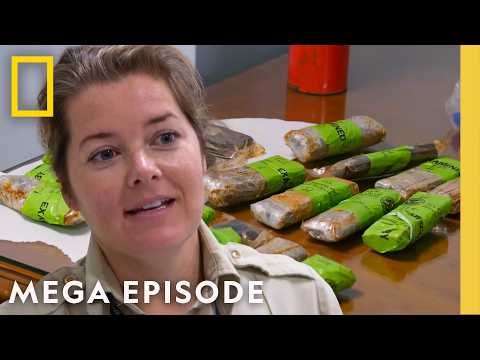 To Catch a Smuggler: Cocaine, Meth & ‘Crazy Pills’ | MEGA EPISODE | National Geographic
