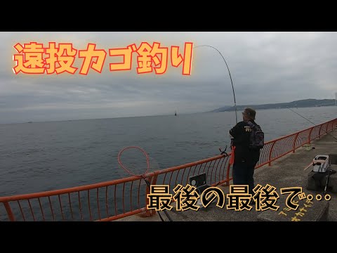 #374【カゴ釣り】カゴ釣りでメーター級の！？最後の最後で…