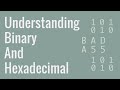 Number Systems and Their Values