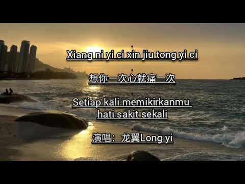 Xiang ni yi ci xin jiu tong yi ci 想你一次心就痛一次 – 演唱: 龍翼Long yi
