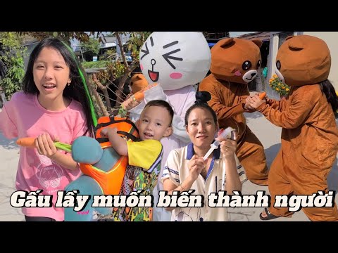 Gấu lầy muốn biến thành người, tổng hợp những video vui nhộn