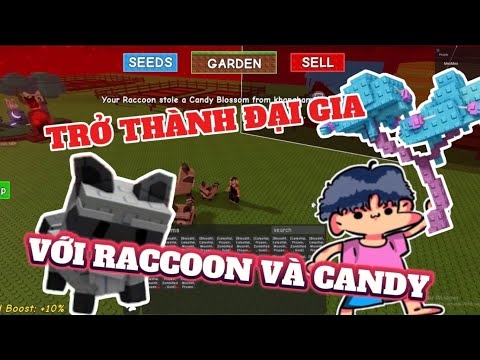 Chú Xám Dùng Raccoon Trộm Cây Candy Đắt Tiền Nhất | Grow A Garden