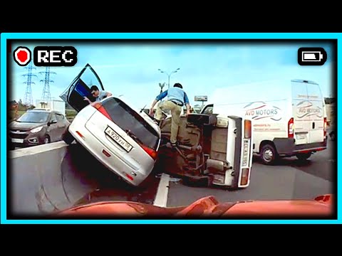IDIOTS IN CARS