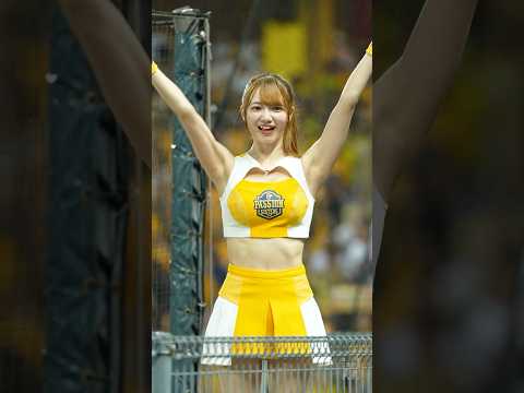 雨の中チャンテを踊る桃子🍑MOMOKO  Passion Sisters 中信兄弟啦啦隊 #台湾チア 洲際棒球場 2025/10/27【台湾チアTV】