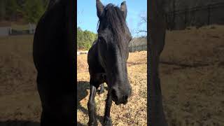 The Secret Is Out.. You’re Gonna Wanna Sit Down For This Video.