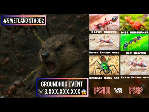 #5 WETLAND | GROUNDHOG ATTACK BY SHOOTER ANTS