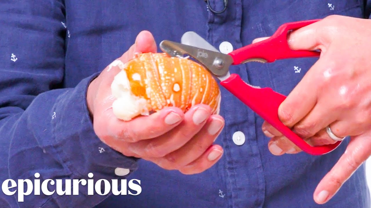 5 Seafood Kitchen Gadgets Improved By Design Expert Well Equipped Epicurious