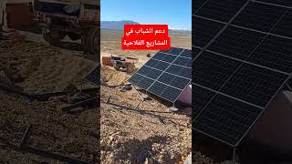 #المغرب #الفلاحة_المغربية #الزيتون