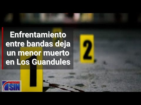 Enfrentamiento entre bandas deja un menor muerto en Los Guandules