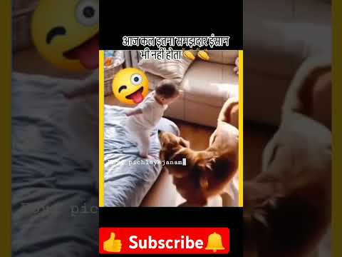 ##short#smart dog#Aajkal itna samajhdar insan bhi nhi hota👏👏