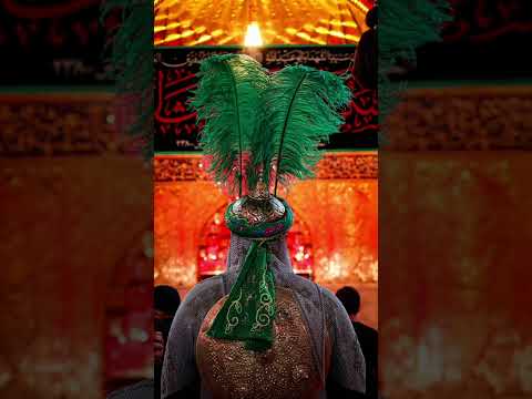 ليله بجي ونايحه🤲🤲 #لايك_اشتراك #العراق #لايك #اشتراك_بالقناة #تصميمي #ستوريات #متابعه #يافاطمه