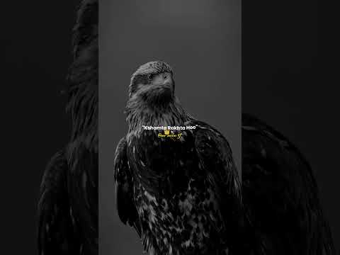 Aur Mujhse Thoda Sawdhan Hi Rahna #trending #dialogue #motivation #attitude #mrmonuzt