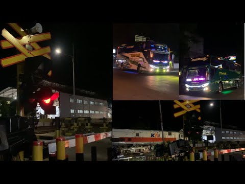 Kereta Api Dan Bis Telolet Di Palang Kereta Api #keretaapi #basuri #telolet #palangpintukeretaapi