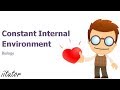 Enzyme Function and Homeostasis Concepts