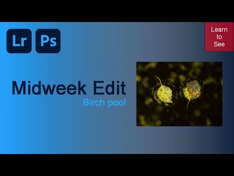 Midweek edit - Birch pool