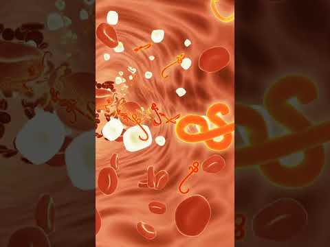 “1 सेकंड के लिए भी रुका तो खत्म… यही है हमारा Heart!” | The Engine of Life!|#youtubeshorts #shorts