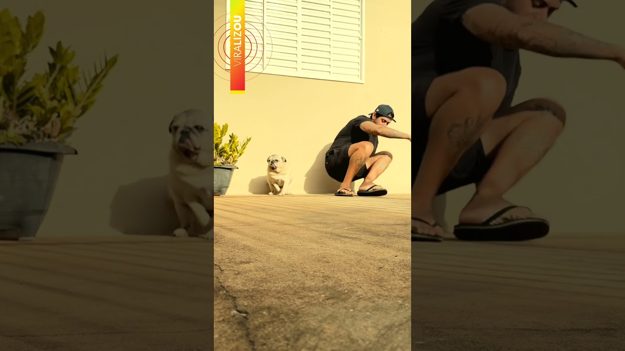 Tutor tenta fazer companhia para seu cachorro e reação do pet surpreende