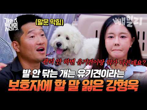 발 안 닦는 개는 유기견?!🐶충격적인 보호자의 발언에 할 말 잃은 강형욱😯| #개와늑대의시간2 31회