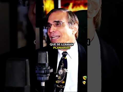 La biología de la inmortalidad | Criaturas que desafían la muerte  #youtube #animales #biologia
