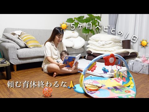 生後5ヶ月の娘が可愛すぎて頭がおかしくなる母親の様子