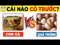 Khám Phá Sự Thật Thú Vị