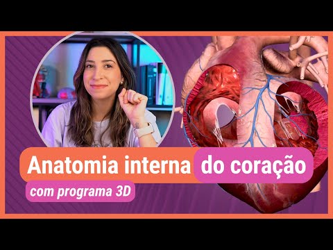 ANATOMIA INTERNA DO CORAÇÃO! Com programa 3D