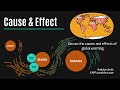Cause and Effect Essay Concepts