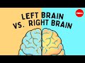 Understanding the Human Brain: Myths and Realities