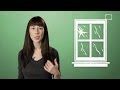 Understanding Glass: Liquid or Solid?