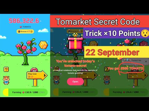 Tomarket secret code 22 September | tomarket combo today