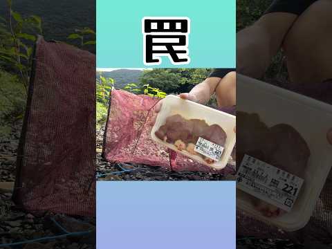 レバーを餌にして罠を仕掛けてみた #アウトドア #料理