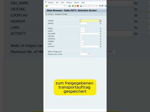 Objekte zu Transportauftrag in Tabelle selektieren #sap #transportauftrag #tabelle