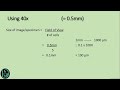 Microscope Magnification and Measurements