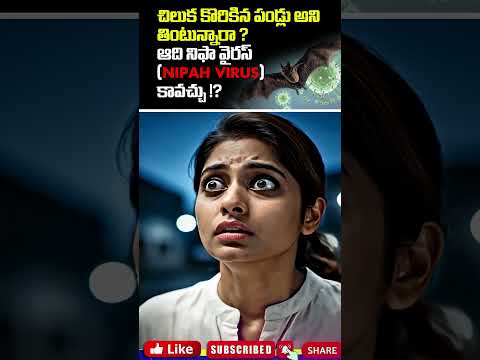 చిలుక కొరికిన పండ్లు అని తింటున్నారా ? ఆది నిఫా వైరస్ (Nipah virus)  కావచ్చు !?  #shorts