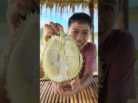 ทุเรียนโยนเมล็ดทิ้ง เนื้อสีอะไร ทุเรียนตุ้งเงิน | รู้จักทุเรียนมากกว่า 100 สายพันธุ์กับเอิร์ธสดชื่น