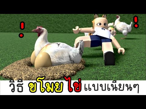 เเม่ไก่ไม่รู้...อิอิROBLOXChicken🐔